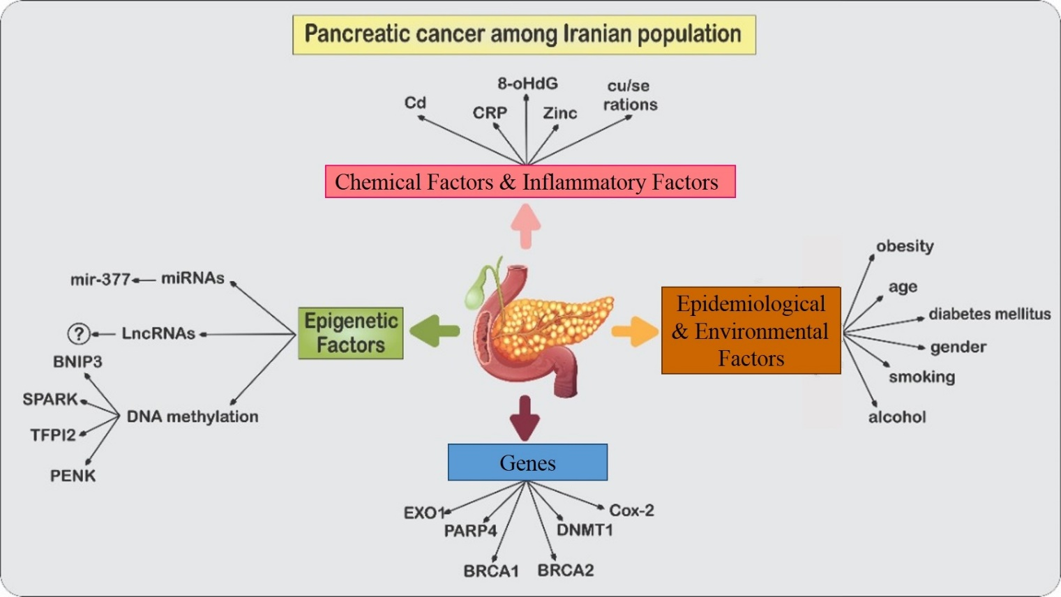 Different genetic, epigenetic, chemical and environmental factors involved in pancreatic cancer progression among Iranian cases.